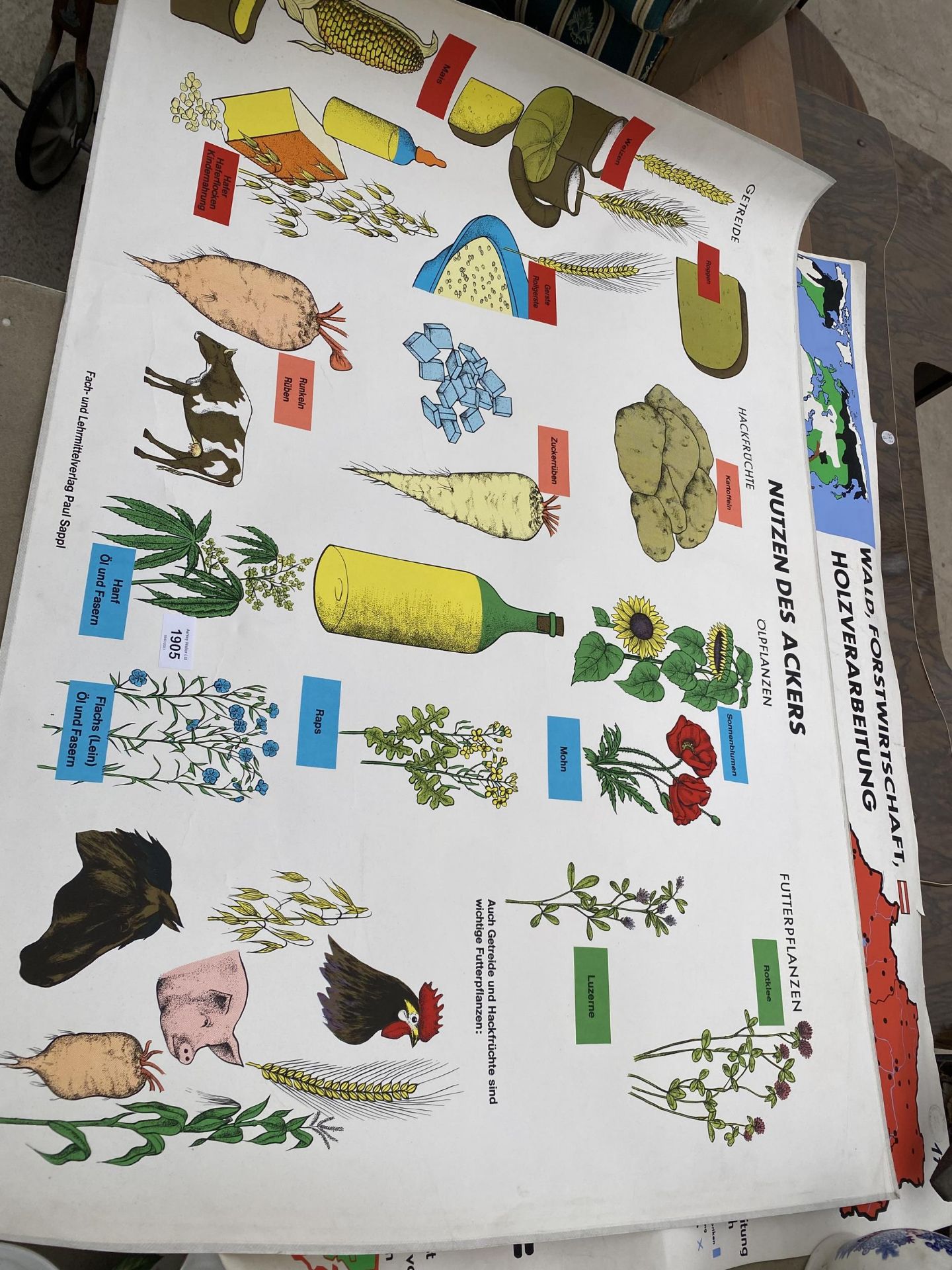 TWO TEACHING AID POSTERS - Image 4 of 4