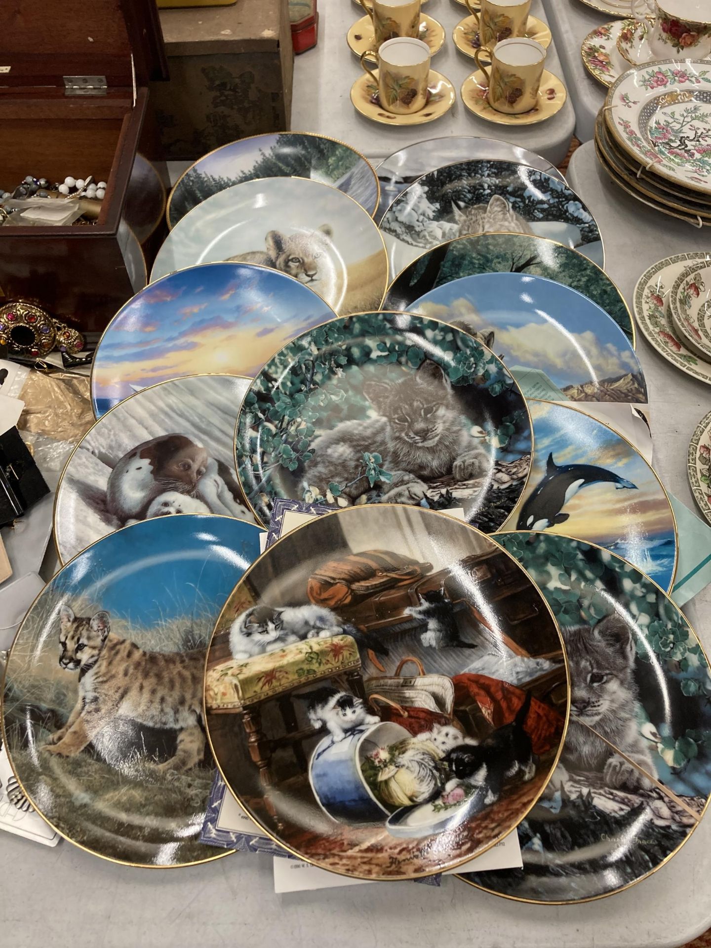 A GROUP OF CABINET PLATES, THE VICTORIAN CAT ETC