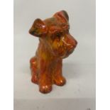 AN ANITA HARRIS TERRIER DOG FIGURE HAND PAINTED AND SIGNED IN GOLD
