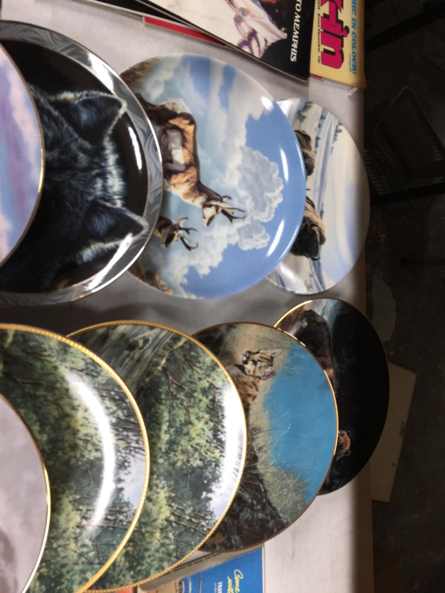 A COLLECTION OF WILD ANIMAL CABINET/WALL PLATES - Bild 3 aus 3