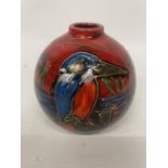 AN ANITA HARRIS KINGFISHER VASE HANDPAINTED AND SIGNED IN GOLD