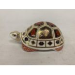 A ROYAL CROWN DERBY TURTLE (MISSING STOPPER)