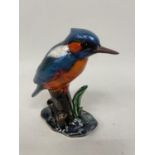 AN ANITA HARRIS KINGFISHER HAND PAINTED AND SIGNED IN GOLD