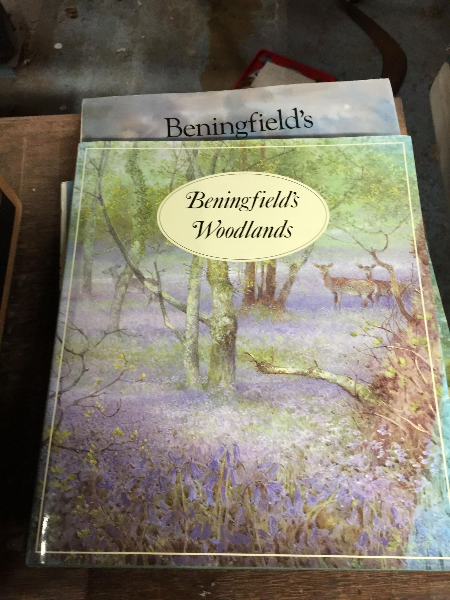 FOUR BENINGFILD'S BOOKS, 'BUTTERFLIES', 'WOODLANDS', AND 'ENGLISH LANDSCAPE' - Image 2 of 3