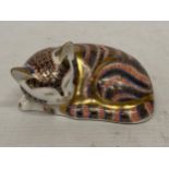 A ROYAL CROWN DERBY IMARI SLEEPING CAT