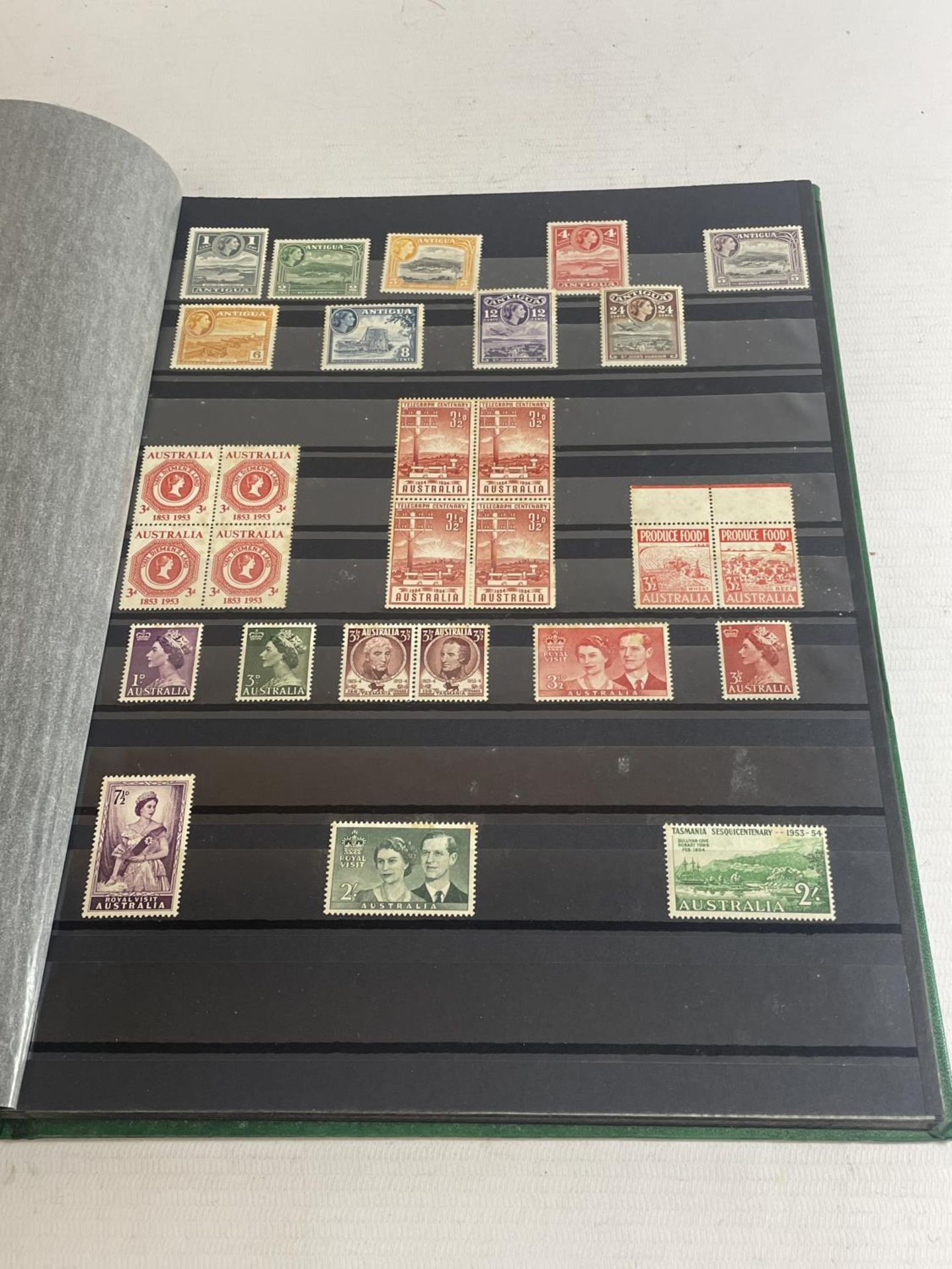 GREEN STOCKBOOK HOUSING A FINE MINT COLLECTION OF BRITISH COMMONWEALTH , GV1 & QE11 ISSUES . - Image 2 of 4