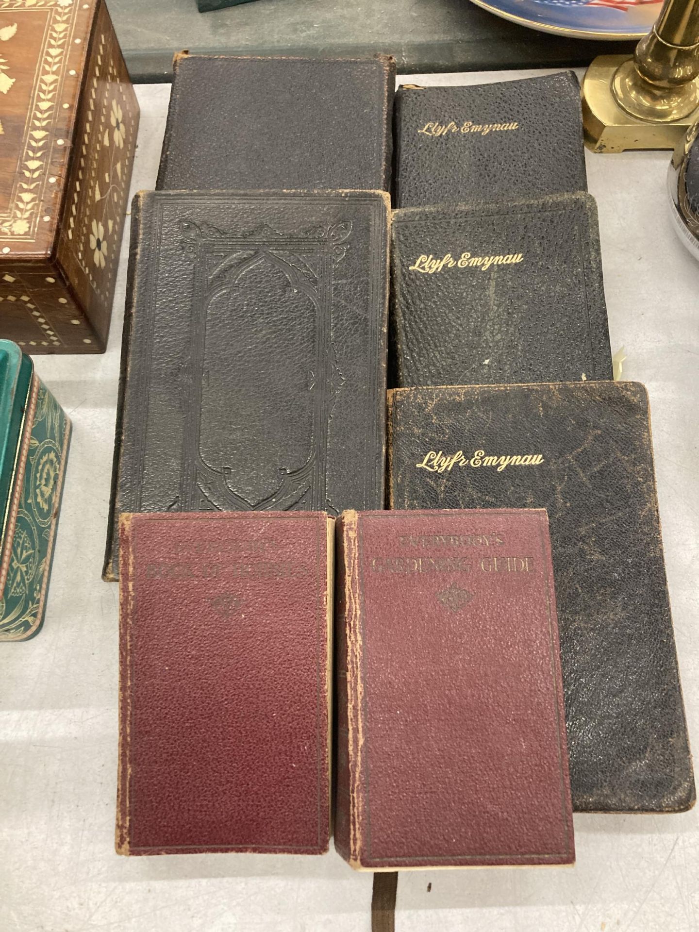 A COLLECTION OF VINTAGE LEATHER BOUND BOOKS