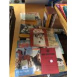 A COLLECTION OF HORSE AND PONY RELATED BOOKS