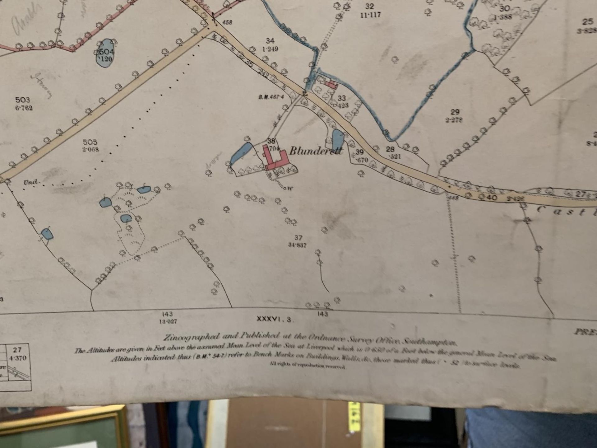 A SURVEYED IN 1871 ORDNANCE SURVEY MAP OF PRESTBURY PARISH, CHESHIRE ( EASTERN DEVISION ), A FIRST - Bild 12 aus 12