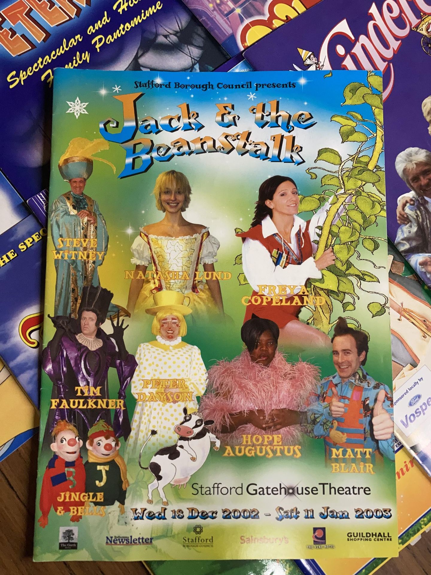 A COLLECTION OF PANTOMIME PROGRAMMES TO INCLUDE CINDERELLA, PETER PAN, ETC - Image 2 of 2