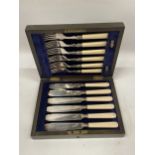 AN OAK CASED CANTEEN OF CUTLERY WITH SHEFFIELD HALLMARKED SILVER COLLARS AND BONE STYLE HANDLES