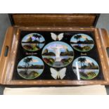 A VINTAGE TRAY FROM BRAZIL WITH BUTTERFLY WINGS DECORATION