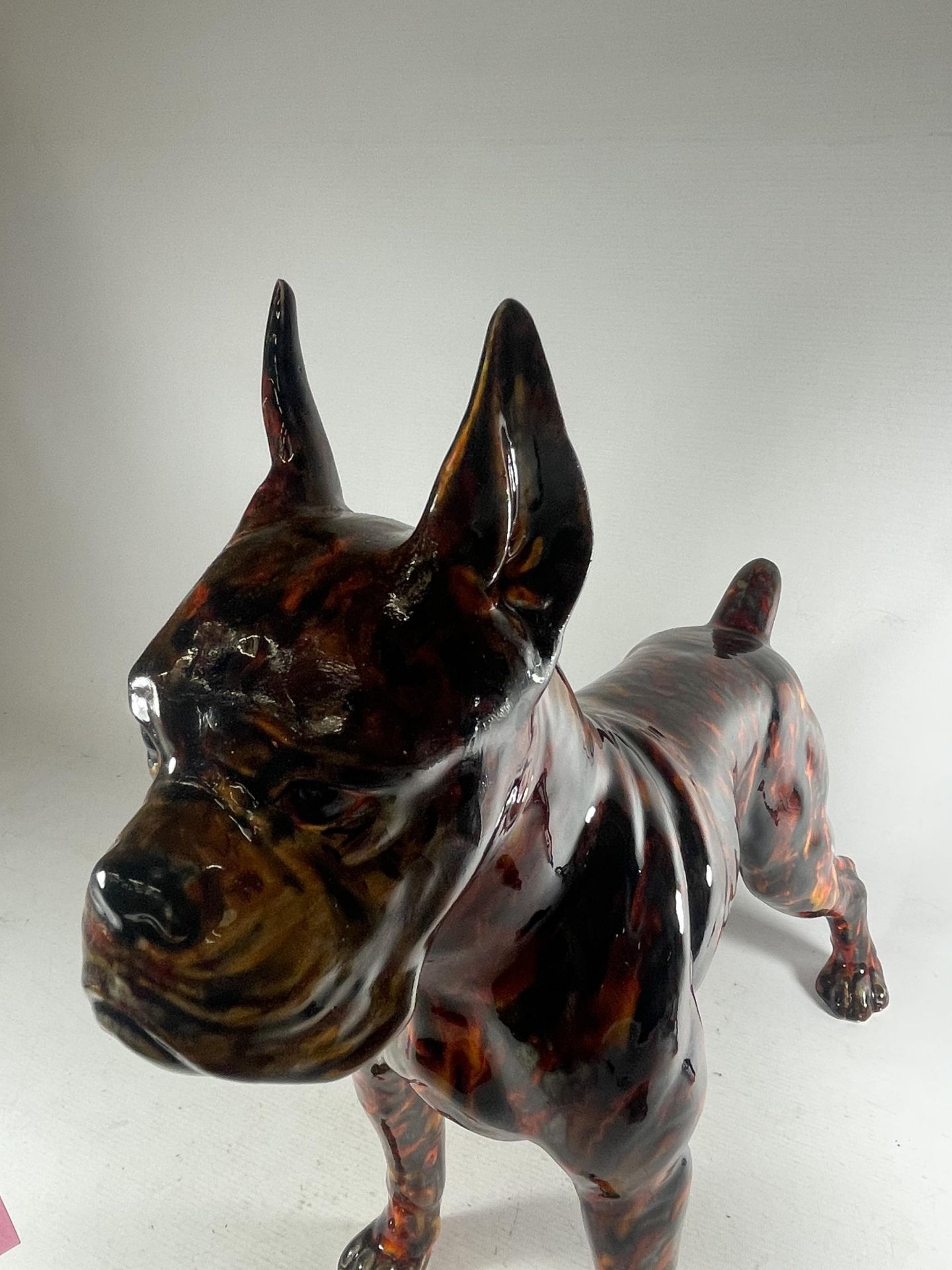 A LARGE ANITA HARRIS DISCONTINUED BULLDOG - Image 2 of 6