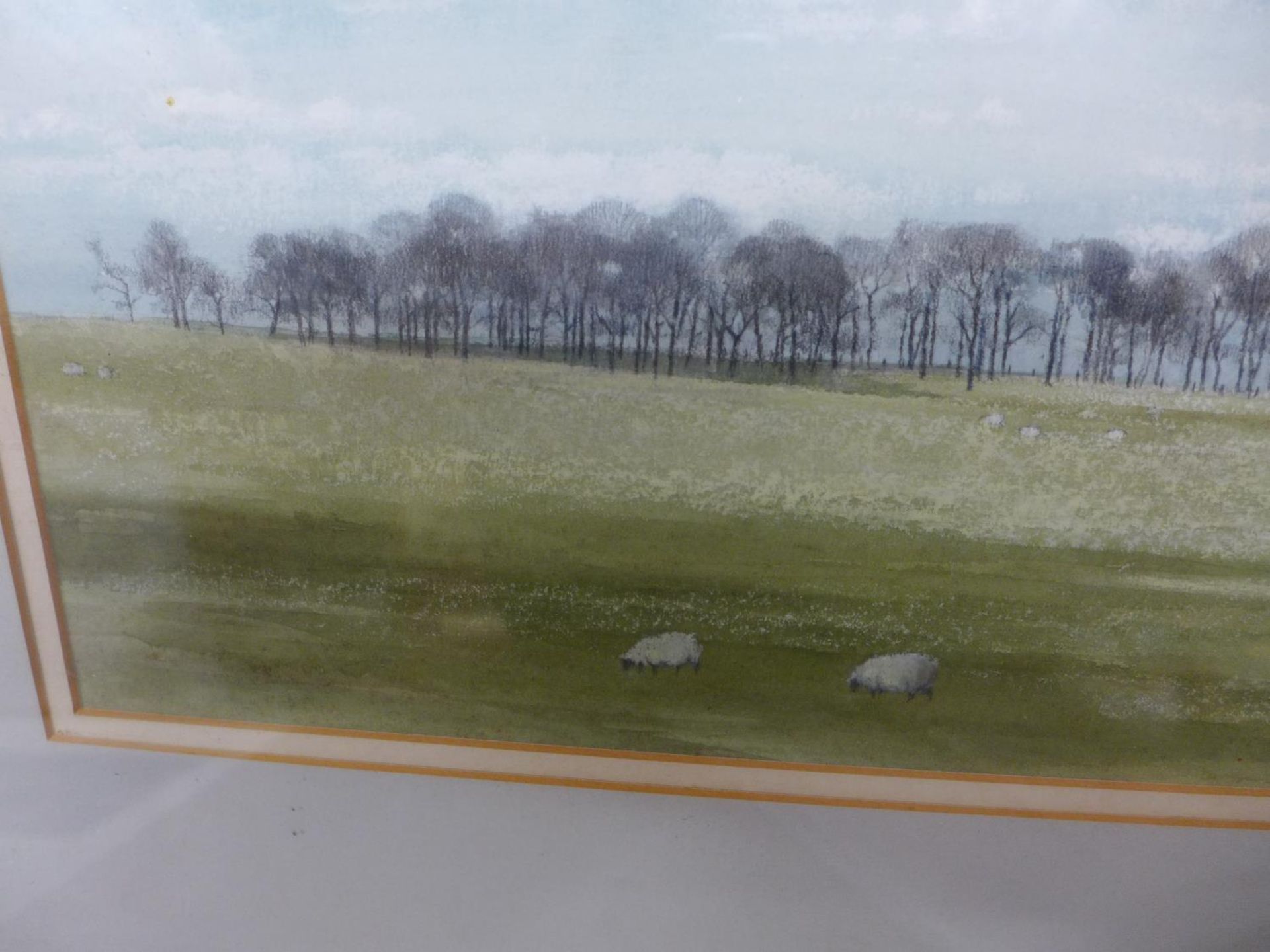 ROSEMARY STUBBS (BRITISH LATE 20TH/EARLY 21ST CENTURY) SHEEP IN A LANDSCAPE, WATERCOLOUR, SIGNED - Image 3 of 3