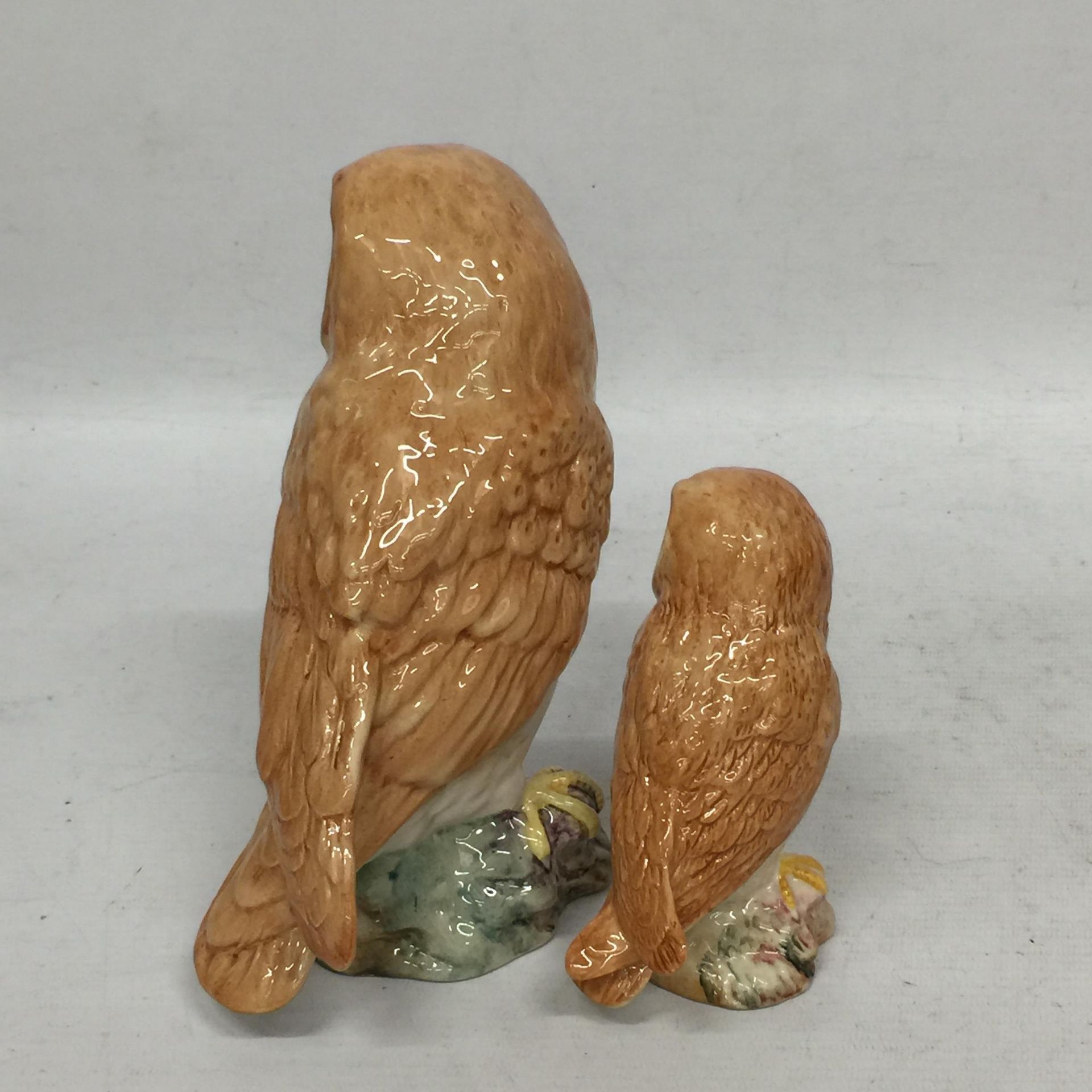 TWO BESWICK OWLS ONE LARGE AND ONE SMALL - Image 3 of 4