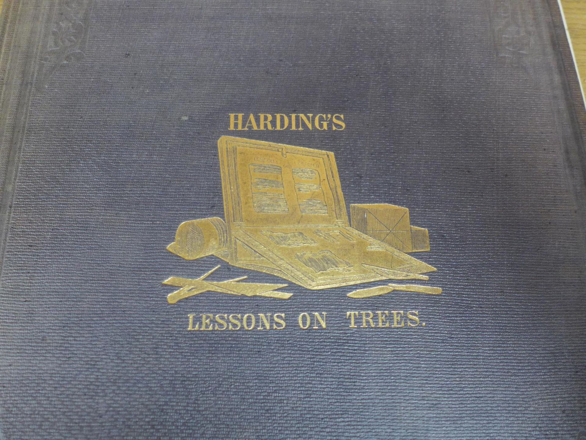 J.D. HARDING 'LESSONS ON TREES' PUBLISHED BY W. KENT & CO, LONDON CIRCA 1879
