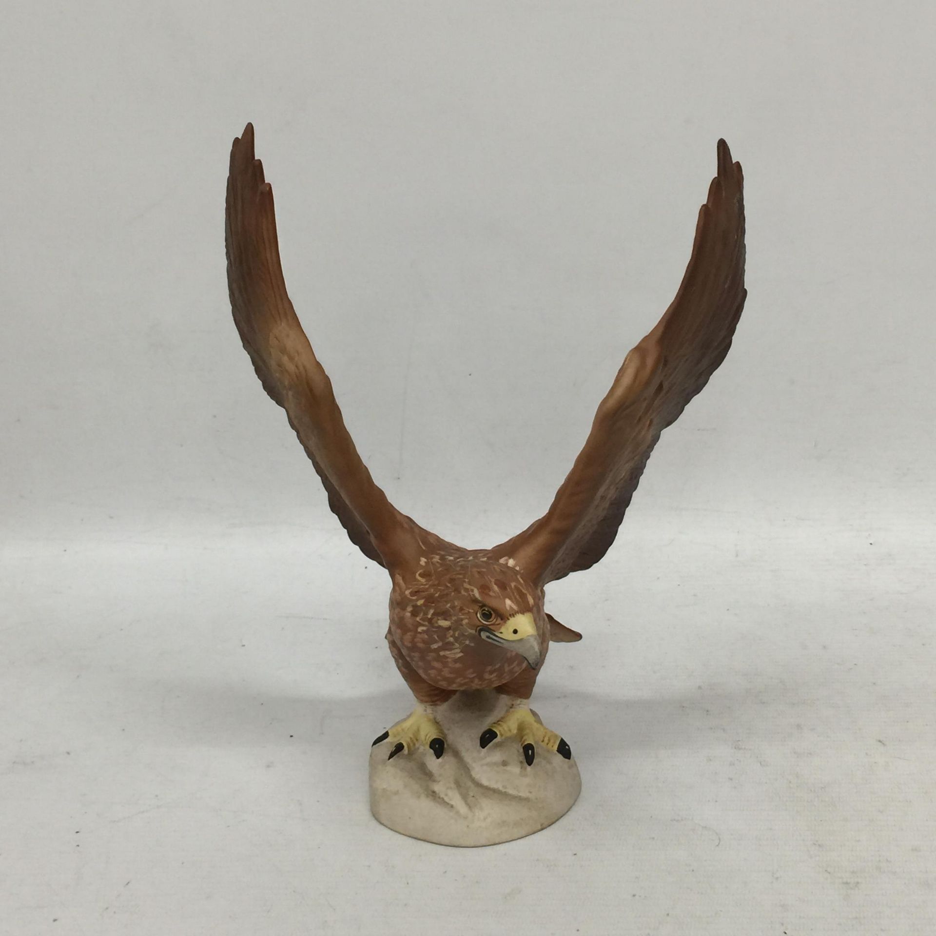 A BESWICK GOLDEN EAGLE NO 2062 - Image 2 of 4