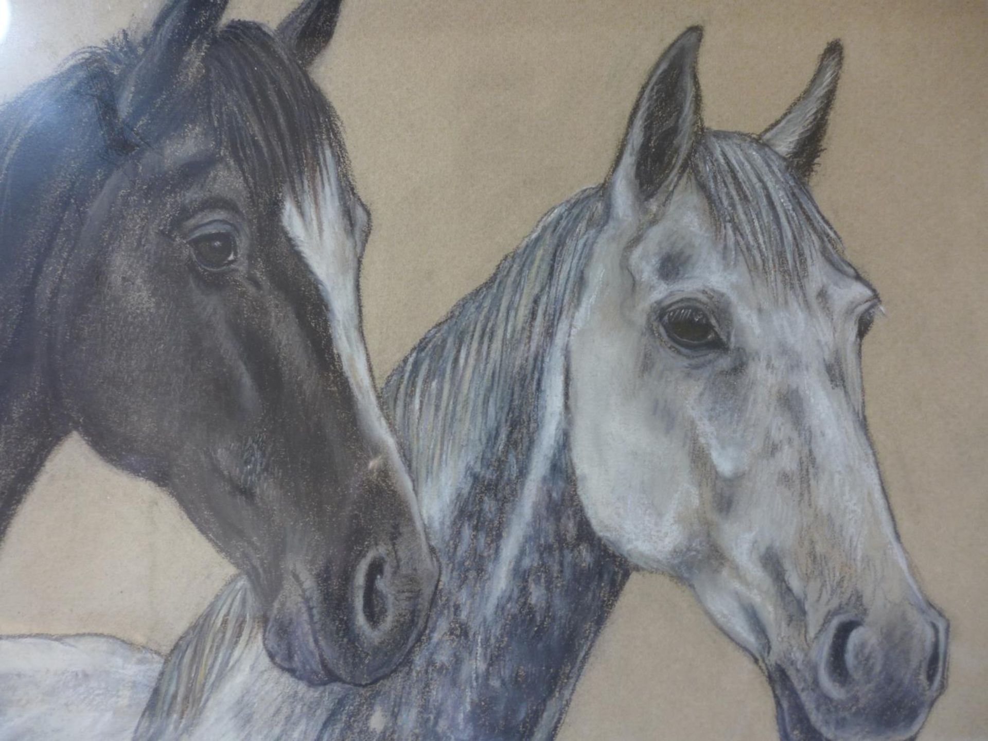 SHEILA EXCELL (BRITISH 20TH CENTURY) STUDY OF THREE HORSES, PASTEL, SIGNED AND DATED 83, 33X50CM, - Image 3 of 4