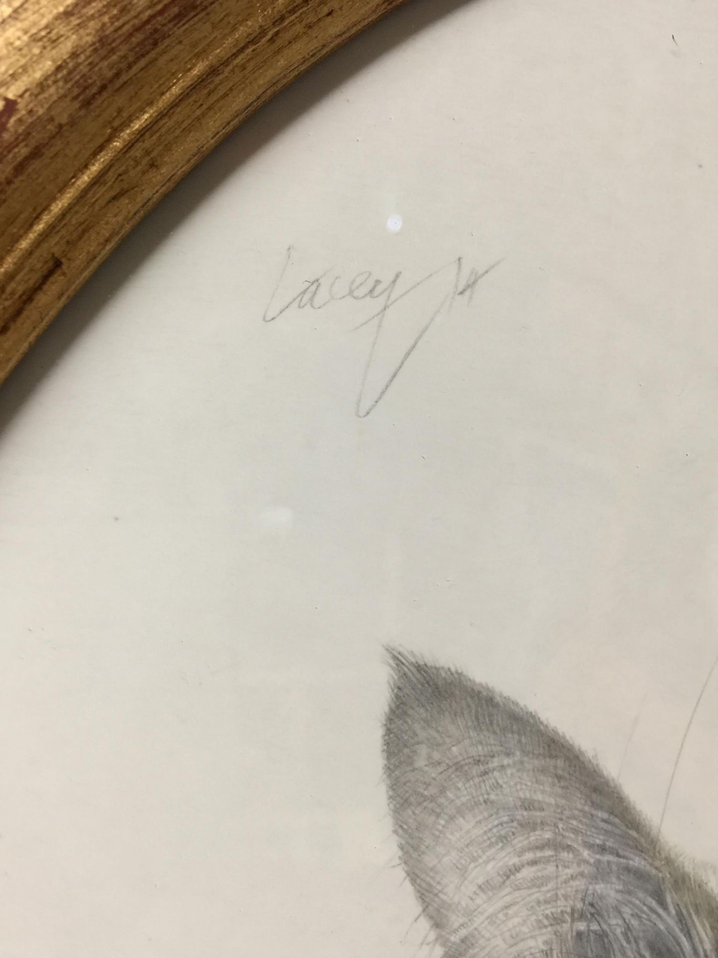 A GILT FRAMED OVAL PENCIL SIGNED CAT PICTURE - Image 2 of 2