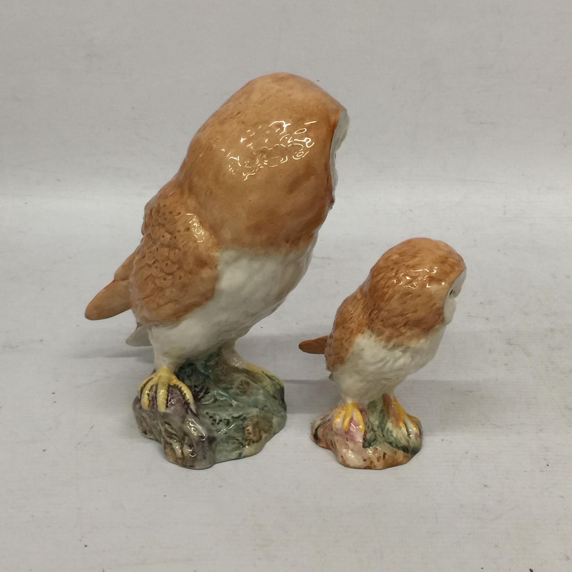 TWO BESWICK OWLS ONE LARGE AND ONE SMALL - Image 2 of 4