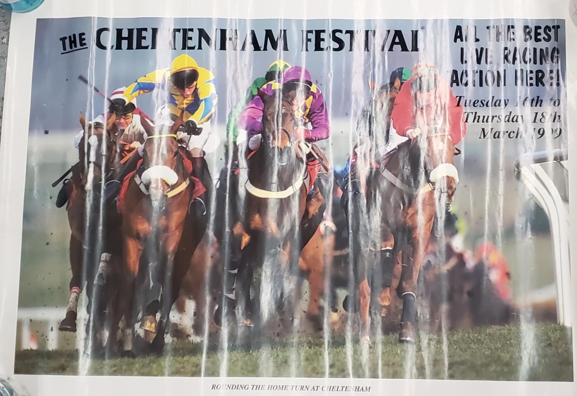 TWELVE HORSE RACING ADVERTISING POSTERS TO INCLUDE THE DERBY, GRAND NATIONAL, ROYAL ASCOT, - Image 4 of 4