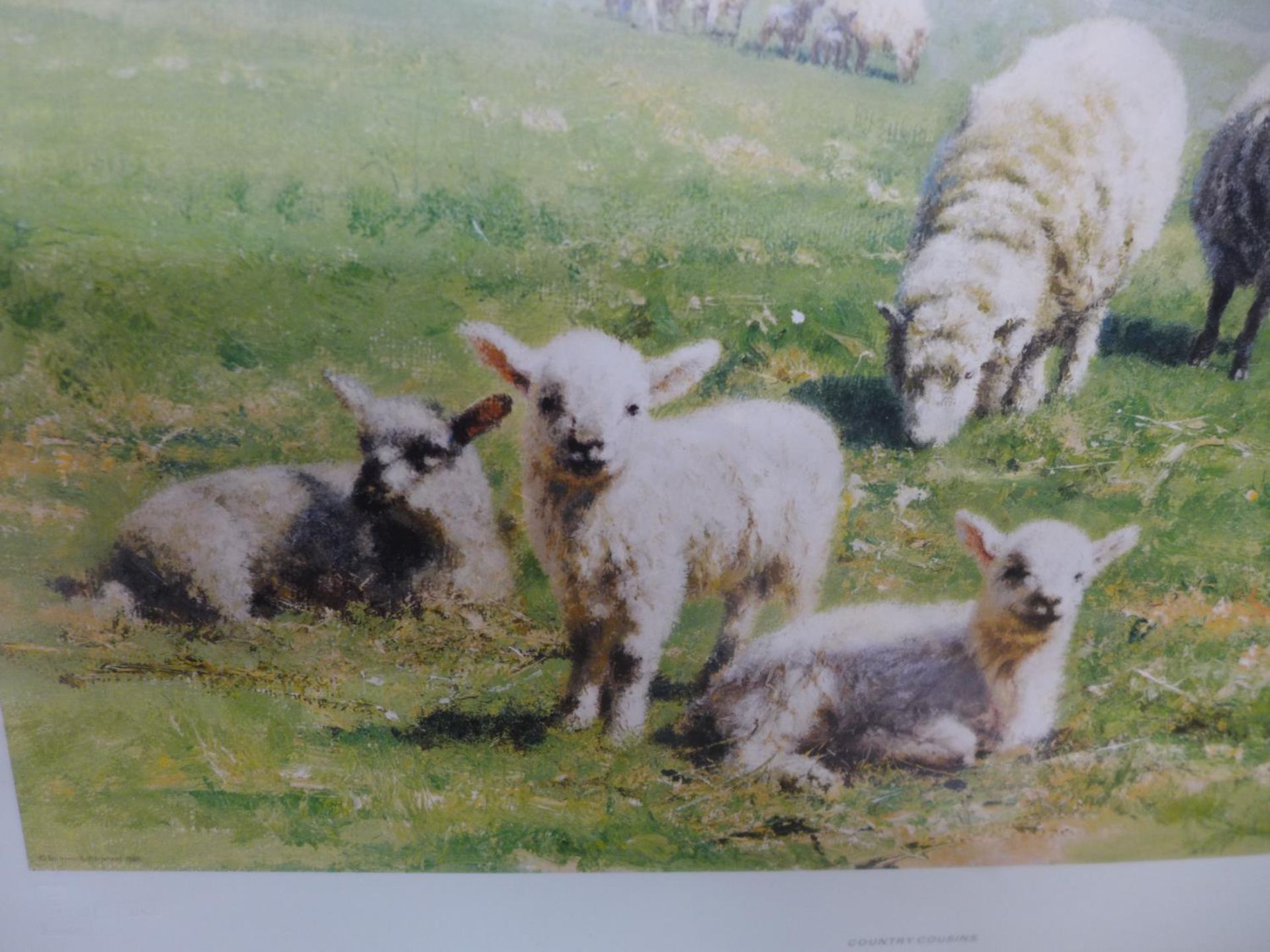 DAVID SHEPHERD LIMITED EDITION (178/850) PRINT 'COUNTRY COUSINS', SIGNED, 28X43CM, FRAMED AND GLAZED - Image 3 of 3