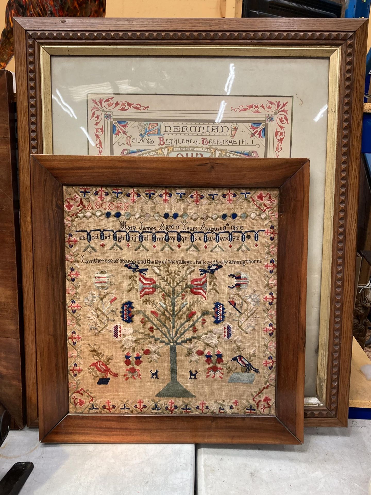 A WELSH NEEDLEWORK SAMPLER BY MARY JAMES AGED 11 YEARS, AUGUST 8TH 1850, 46CM X 42CM, IN A