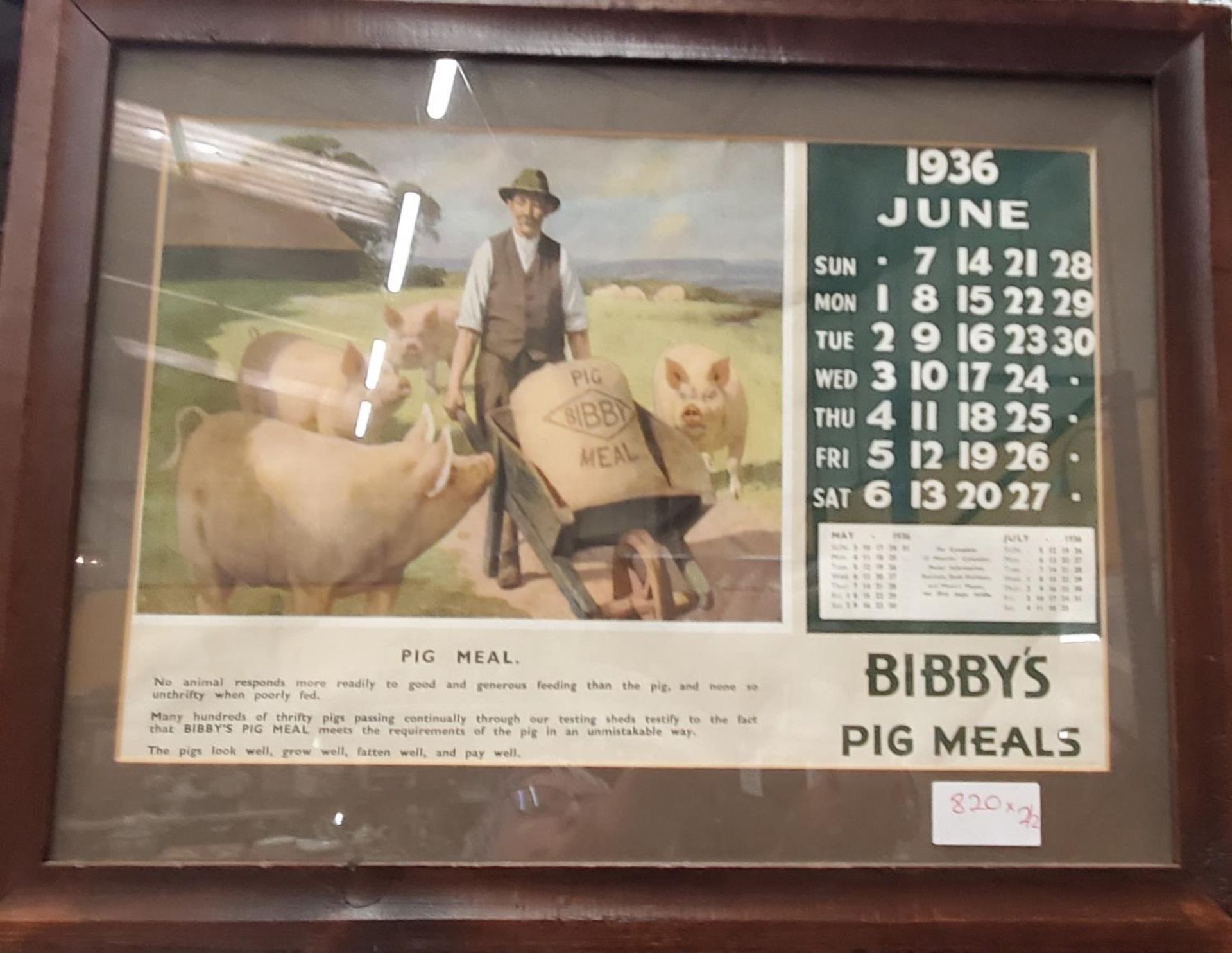 A VINTAGE FRAMED JUNE 1936 CALENDAR PAGE ADVERTISING BIBBY'S PIG MEALS PLUS A PRINT OF A SHIRE HORSE - Image 3 of 3