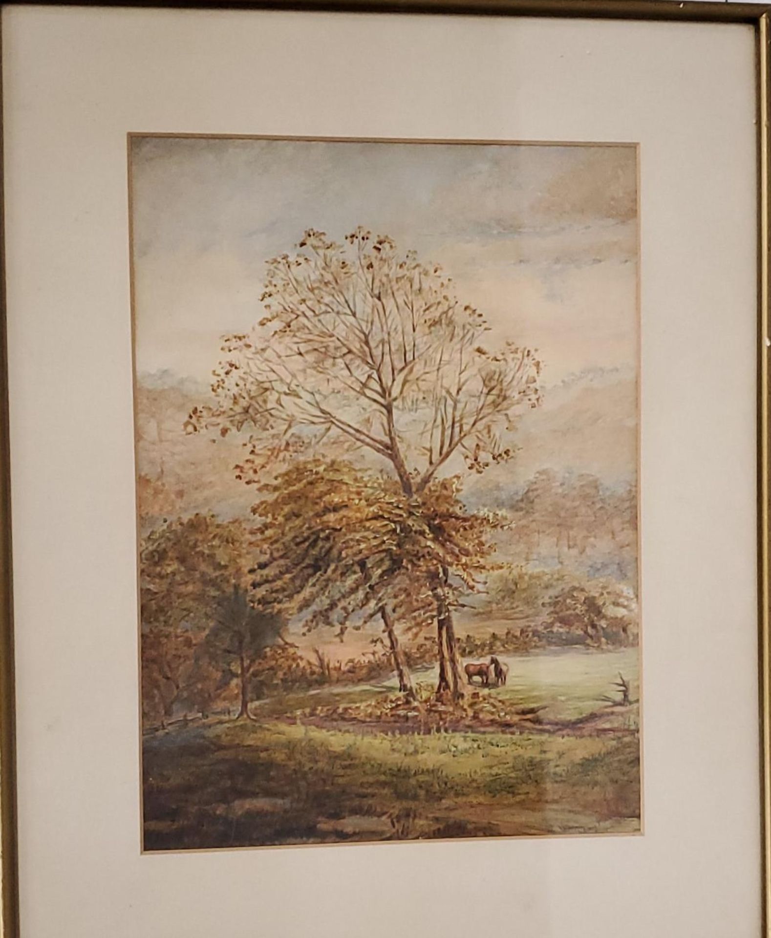 A LATE 19TH CENTURY WATERCOLOUR OF TWO HORSES IN A WOODLAND INDISTINCTLY SIGNED, 37CM X 26CM, FRAMED