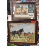 A VINTAGE FRAMED JUNE 1936 CALENDAR PAGE ADVERTISING BIBBY'S PIG MEALS PLUS A PRINT OF A SHIRE HORSE