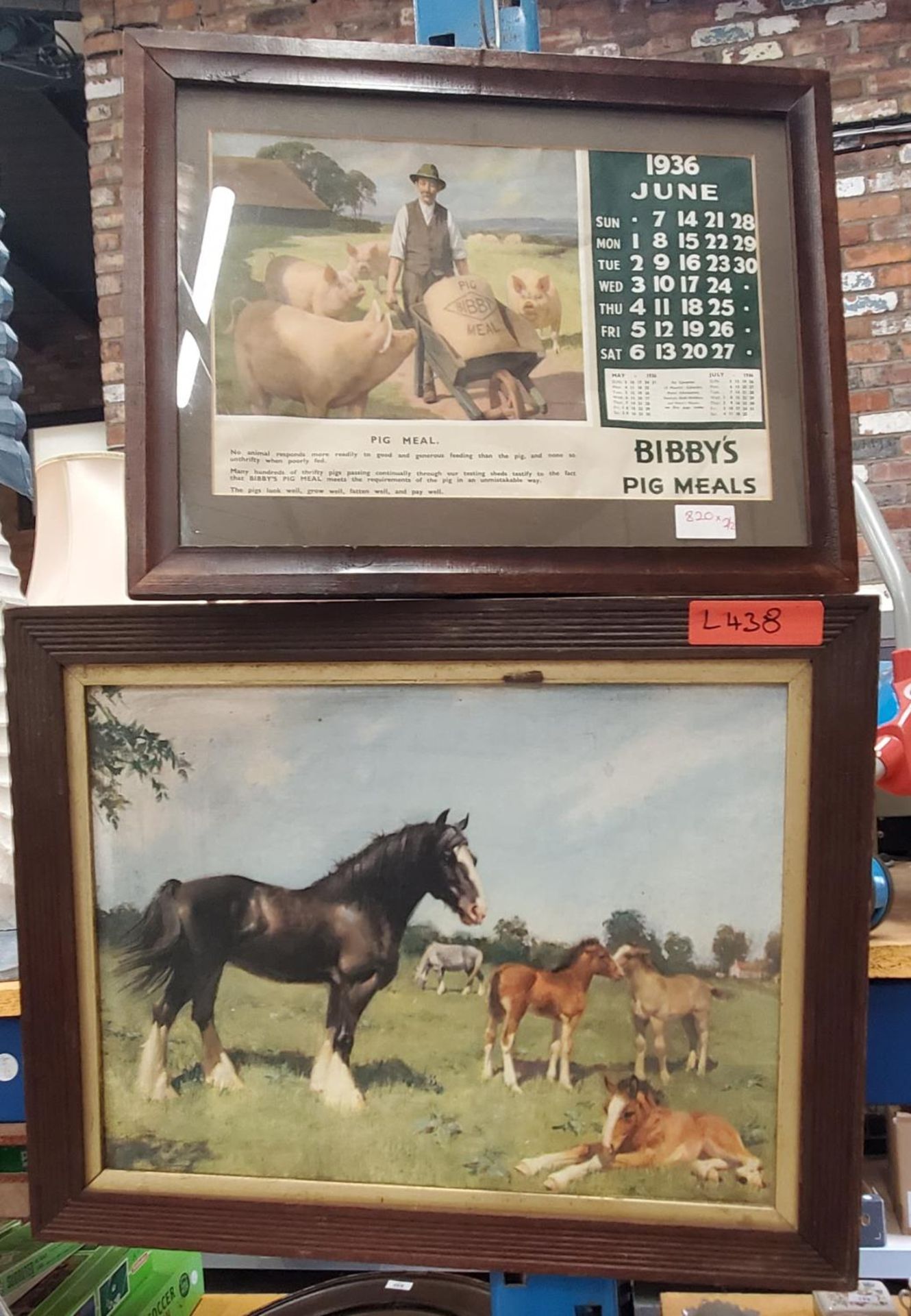 A VINTAGE FRAMED JUNE 1936 CALENDAR PAGE ADVERTISING BIBBY'S PIG MEALS PLUS A PRINT OF A SHIRE HORSE