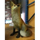 A LARGE BORDER FINE ARTS RESIN 'FOX SITTING (FIRESIDE)' MODEL NUMBER A5891, HEIGHT 41CM