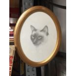 A GILT FRAMED OVAL PENCIL SIGNED CAT PICTURE