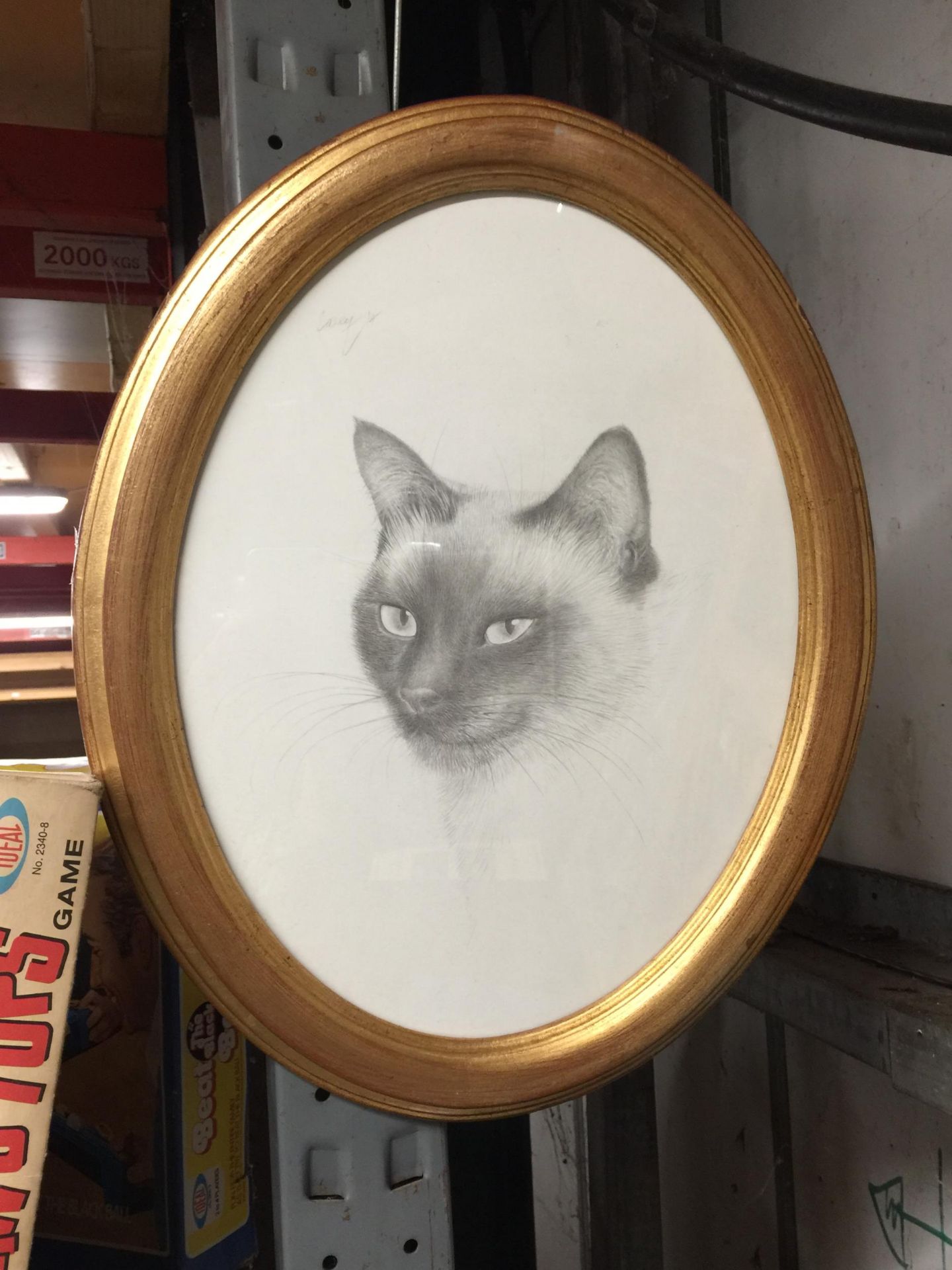 A GILT FRAMED OVAL PENCIL SIGNED CAT PICTURE