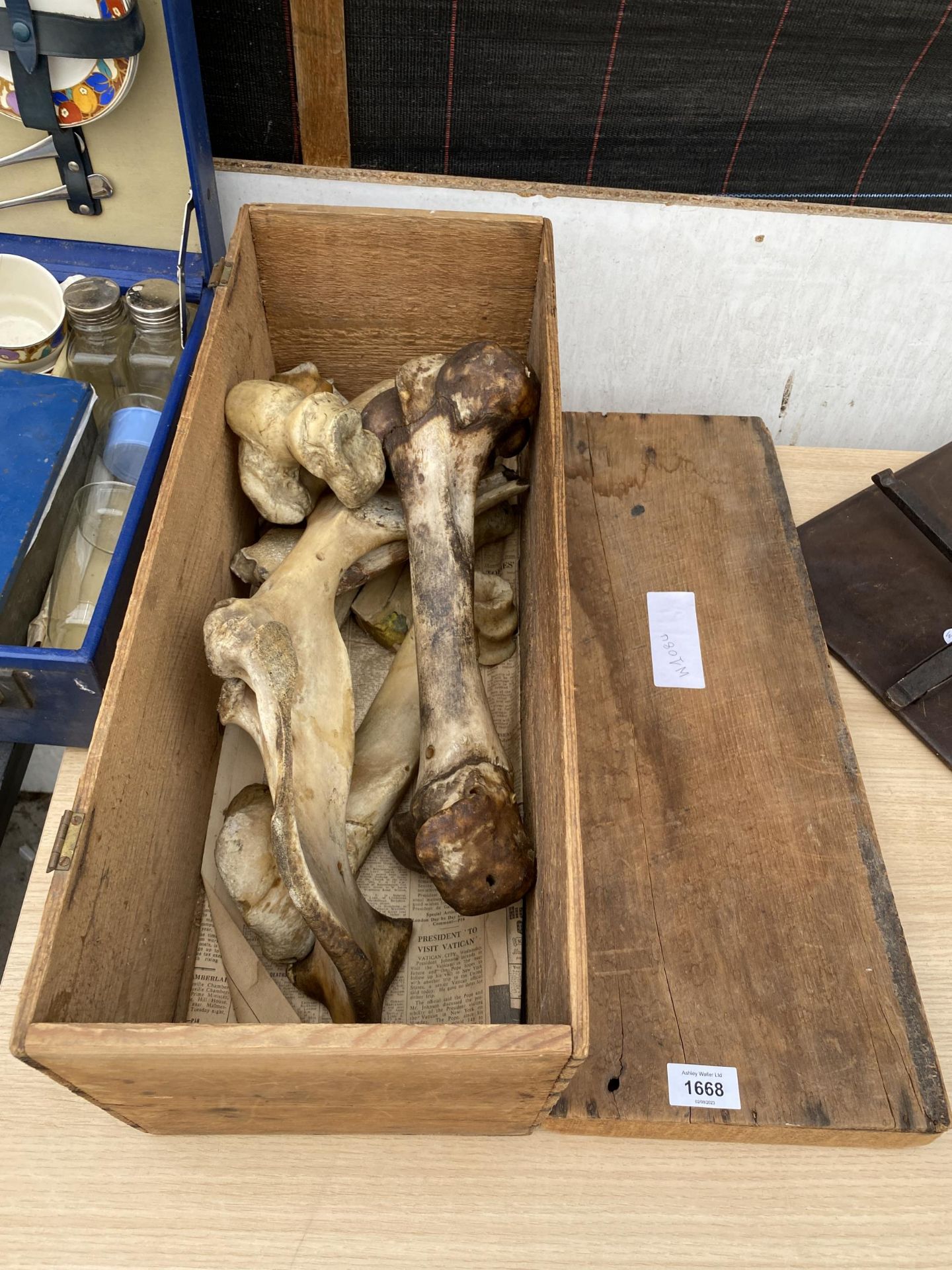 A BOX OF ASSORTED BONES