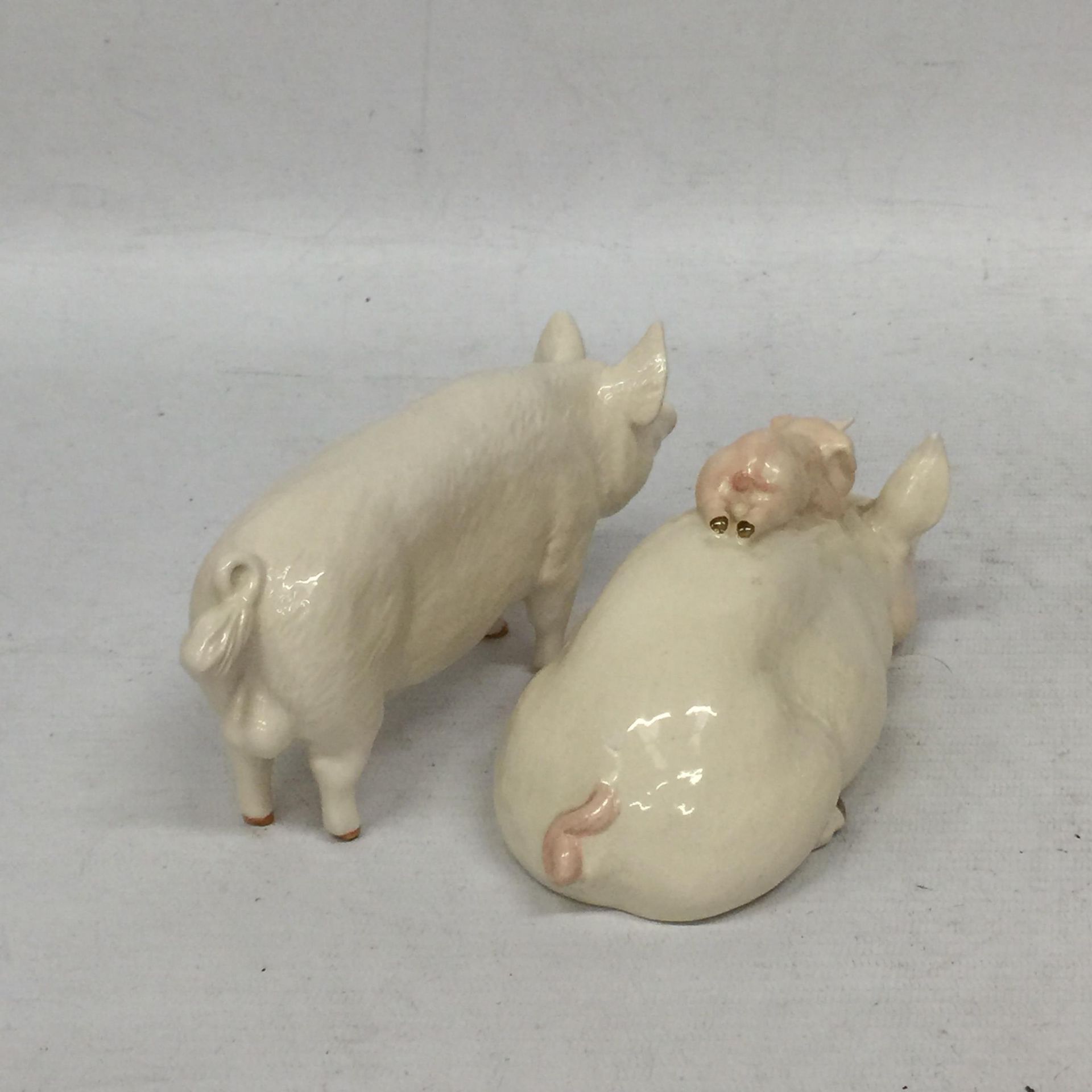 TWO BESWICK PIGS - Image 3 of 4