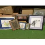 A GROUP OF FRAMED PRINTS, FLORAL AND DOG EXAMPLES
