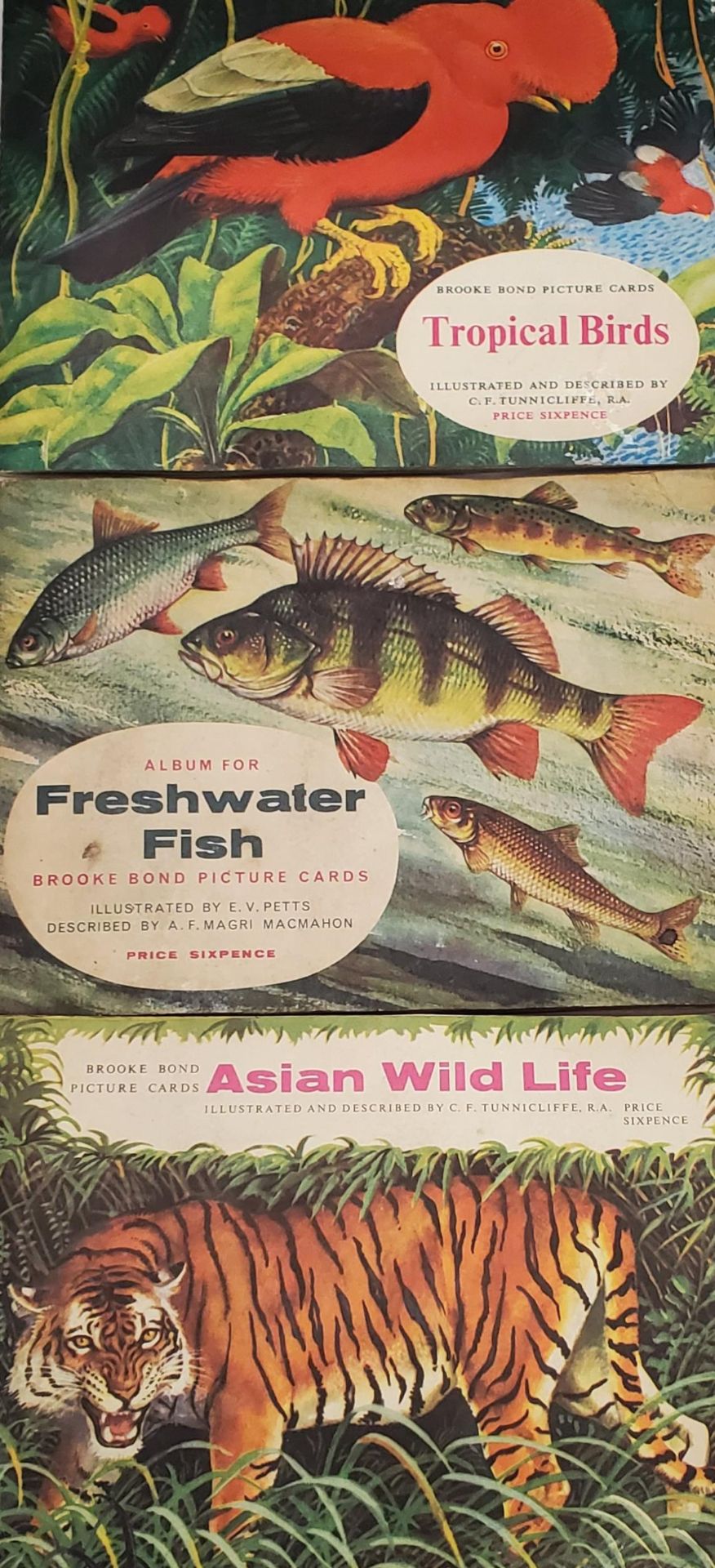 THREE VINTAGE BROOK BOND TEA PICTURE CARD ALBUMS WITH CARDS TO INCLUDE FRESHWATER FISH, ASIAN WILD - Image 2 of 2