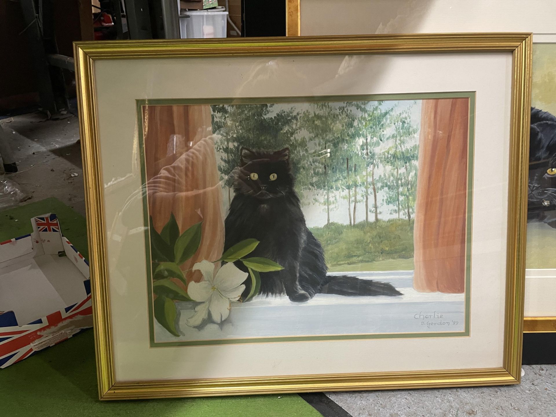 TWO FRAMED CAT WATERCOLOURS SIGNED J.GORDON - DATA AND CHARLIE - Image 2 of 3