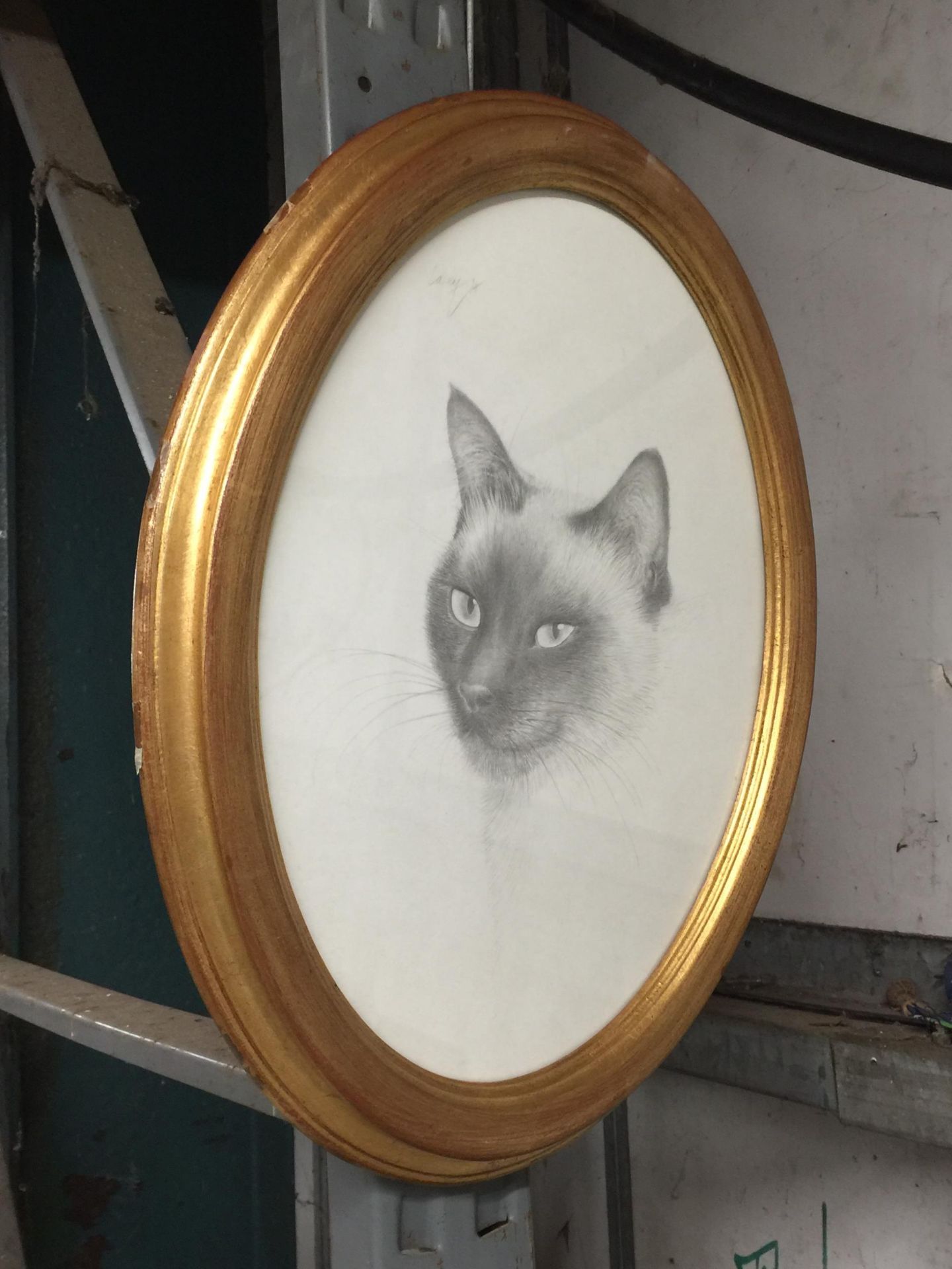 A GILT FRAMED OVAL PENCIL SIGNED CAT PICTURE