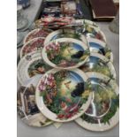 A LARGE COLLECTION OF CABINET PLATES - 13 IN TOTAL WITH HANGERS