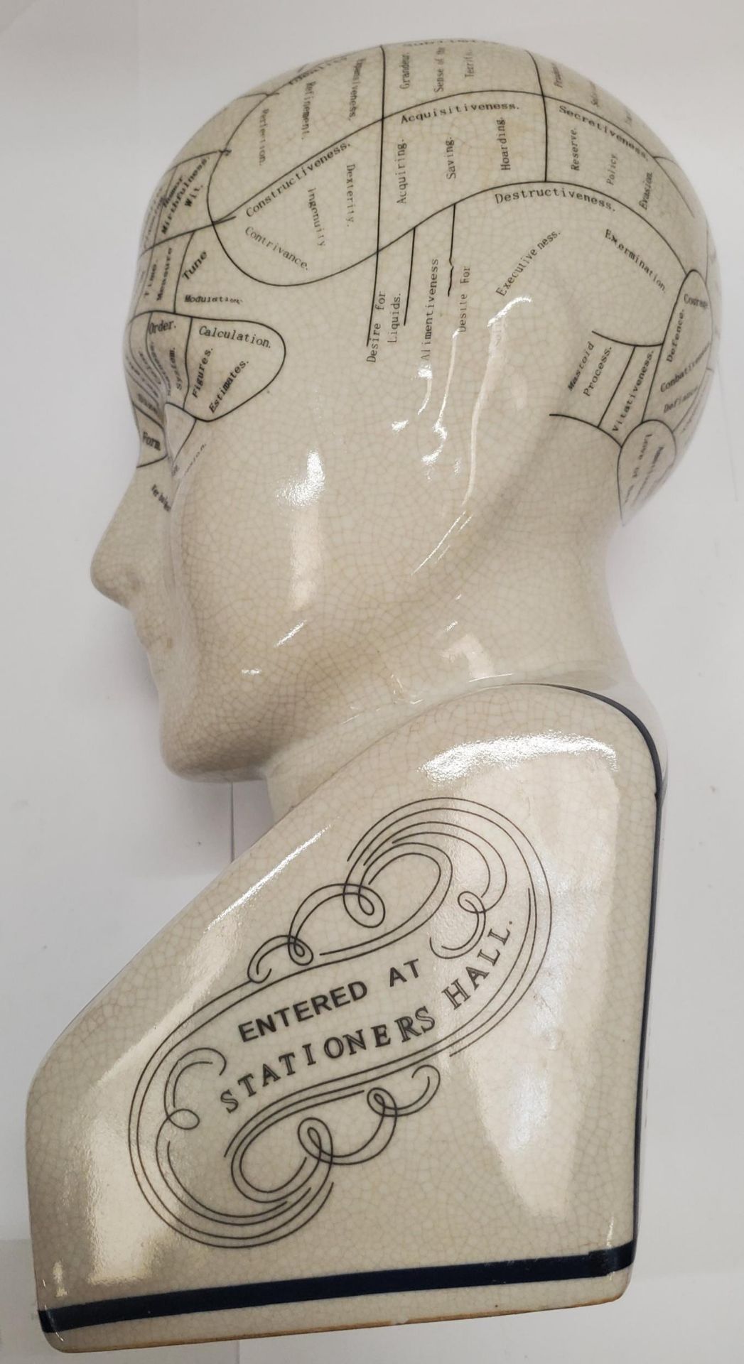 A PHRENOLOGY HEAD - 27 CM - Image 4 of 4