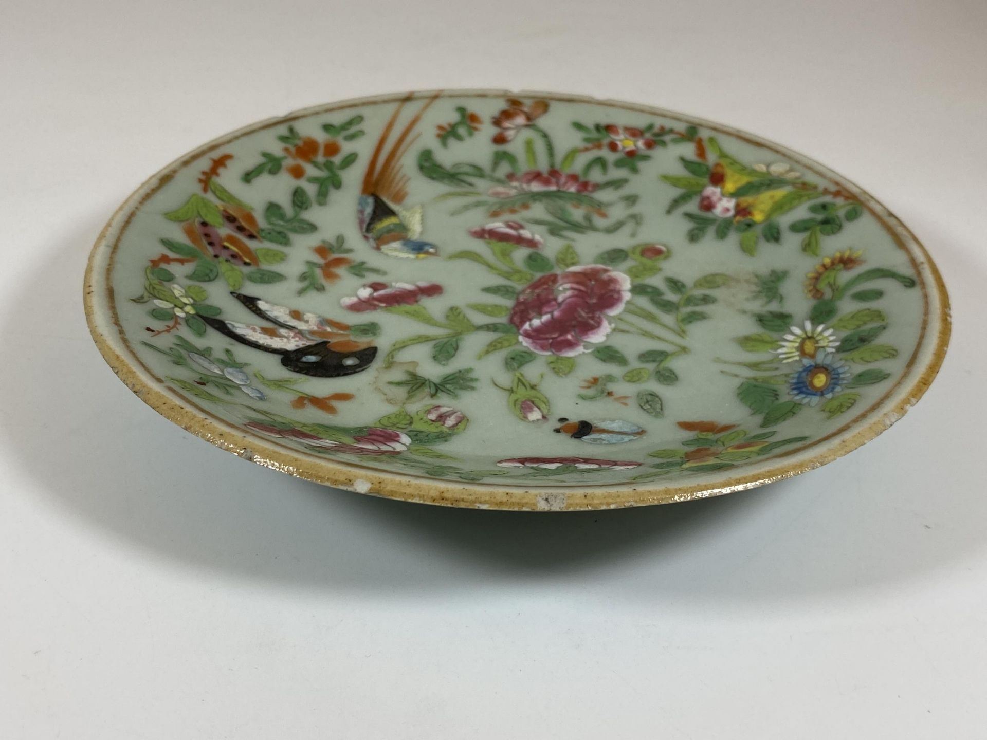 A 19TH CENTURY QING CHINESE CELADON BIRD AND FLORAL PORCELAIN PLATE, DIAMETER 18CM - Image 3 of 6