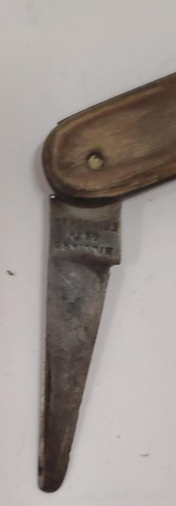A MILLIARD, EDINBURGH BONE HANDLED FRUIT KNIFE - Image 2 of 3