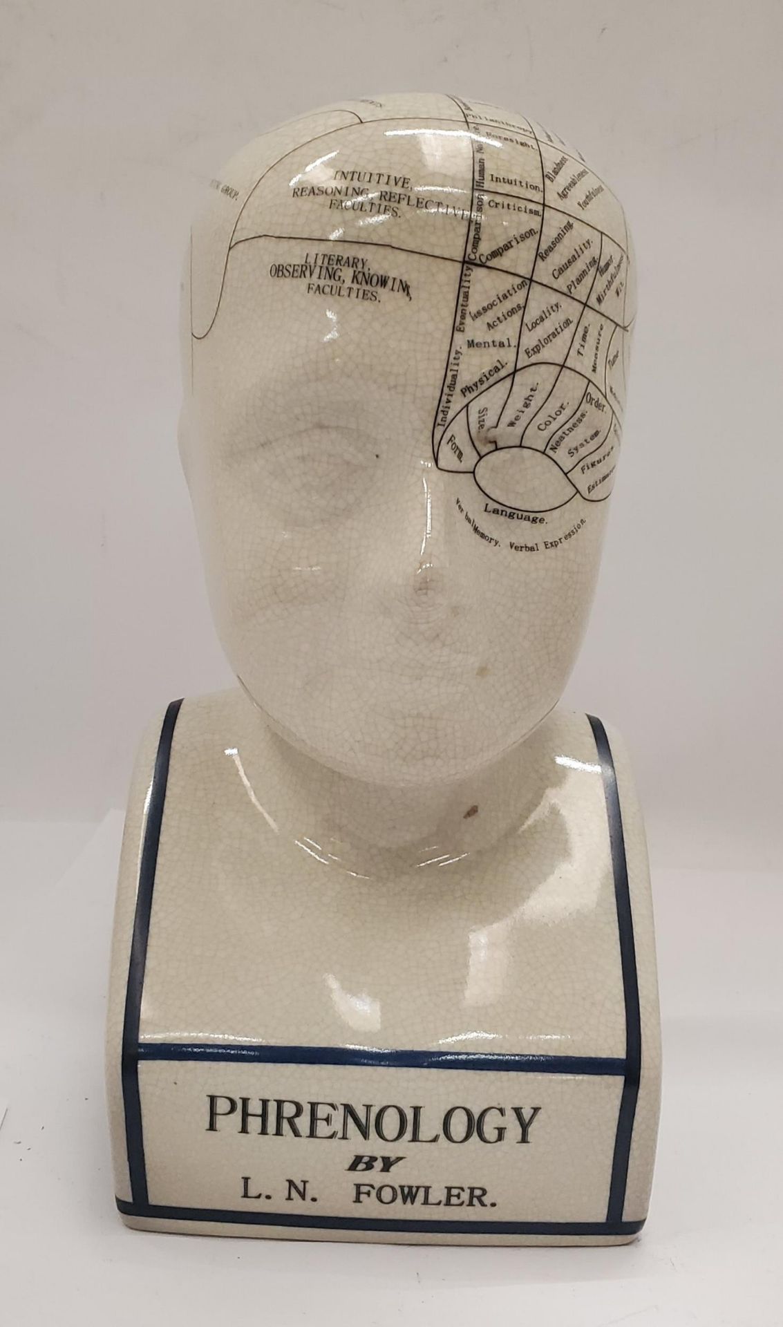 A PHRENOLOGY HEAD - 27 CM