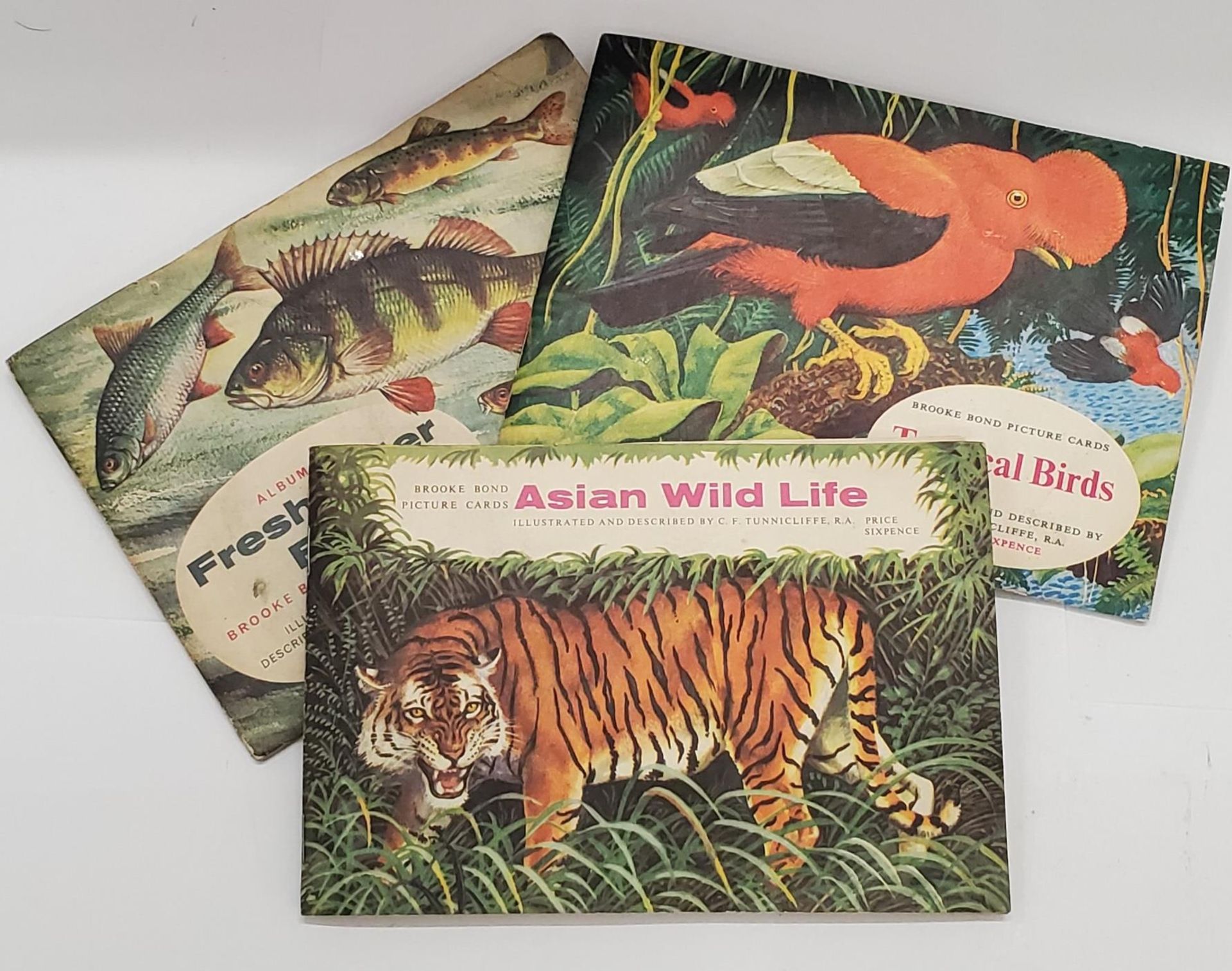 THREE VINTAGE BROOK BOND TEA PICTURE CARD ALBUMS WITH CARDS TO INCLUDE FRESHWATER FISH, ASIAN WILD