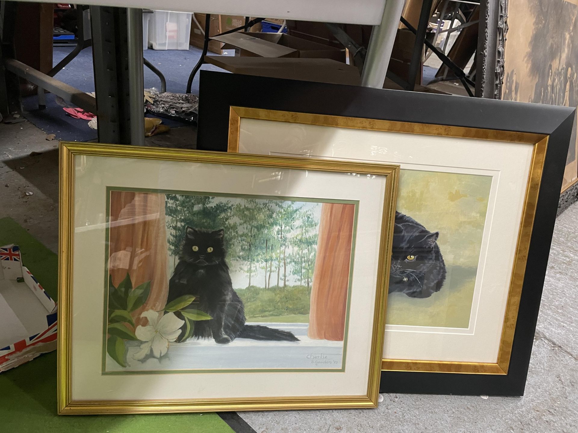 TWO FRAMED CAT WATERCOLOURS SIGNED J.GORDON - DATA AND CHARLIE
