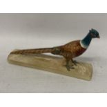 A BESWICK NO. 1774 PHEASANT ON BASE