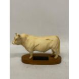 A BESWICK MATT CHAROLAIS BULL ON WOODEN PLINTH BASE