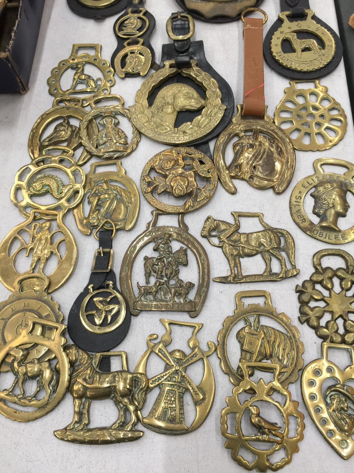 A LARGE QUANTITY OF VINTAGE HORSE BRASSES - Image 3 of 3